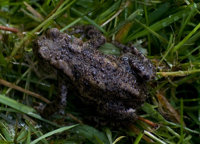 DSC_0397.JPG